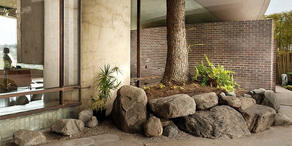 silvertop_exterior_tree_800-