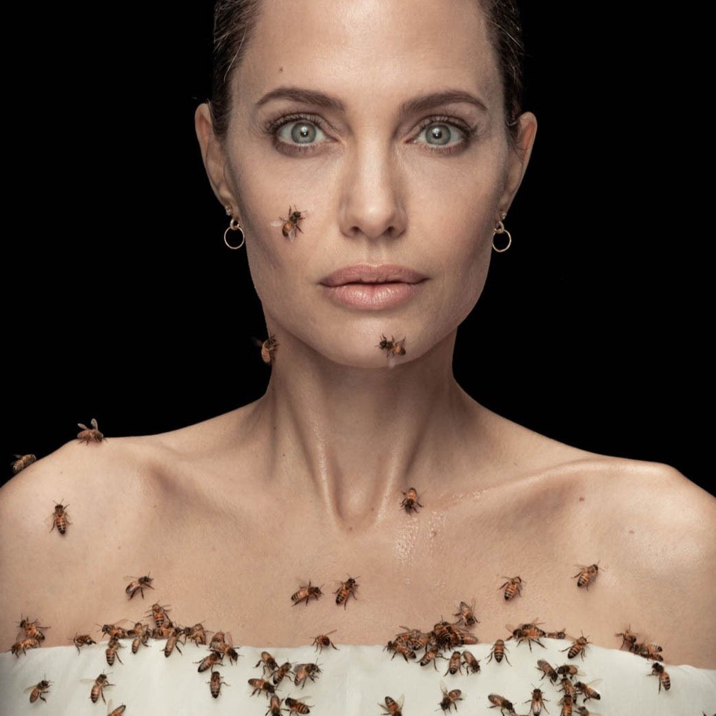 Angelina Jolie National Geographic white space jewelry