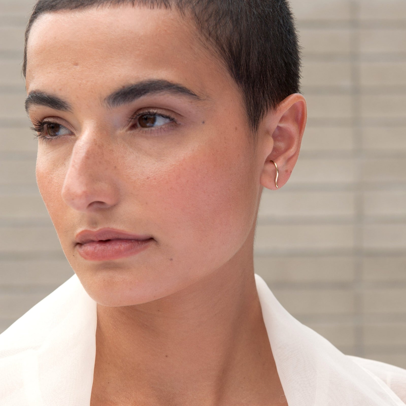 Forme Suspender Earrings